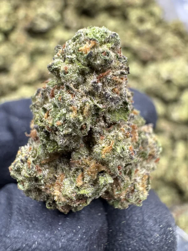 Strawberry Champagne