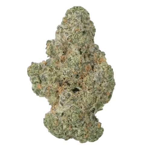 Close-up of premium THCA flower strains in glass jars, showcasing vibrant colors and textures